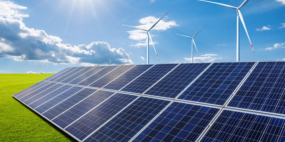 中國(guó)華能集團(tuán)太陽(yáng)能光伏板回收項(xiàng)目領(lǐng)導(dǎo)蒞臨江西森拓考察設(shè)備